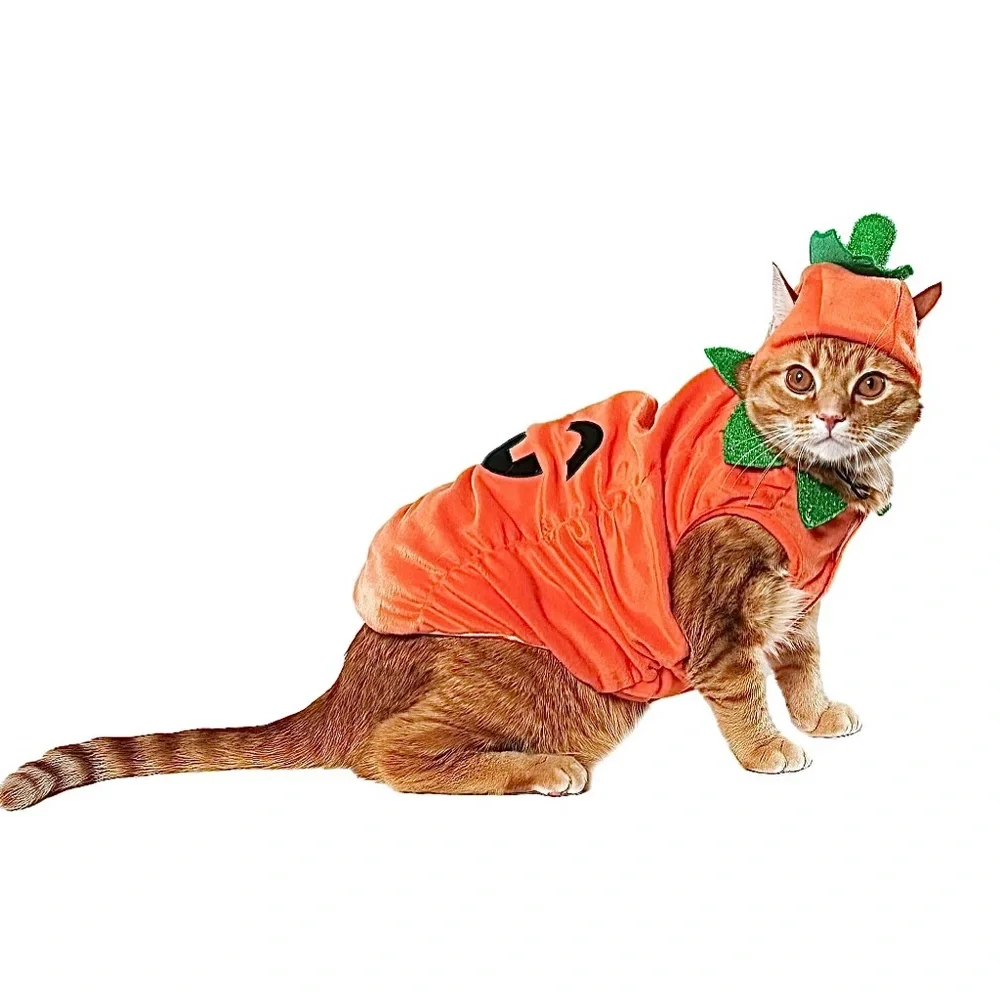 PET JACK-O’-LANTERN COSTUME NWT